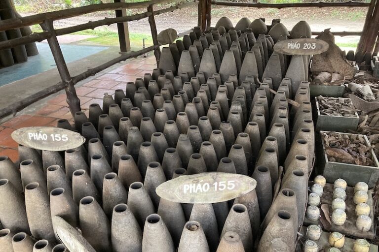 【ベトナム戦争】枯葉剤とは？なぜ使用された？何が起きた？現代でも続く枯葉剤の影響、歴史と変遷を …